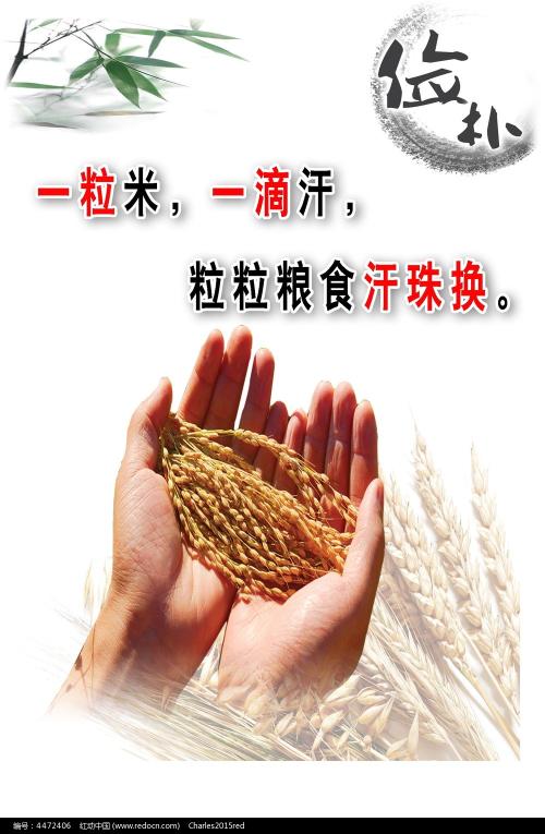圣马克大学学院学位证